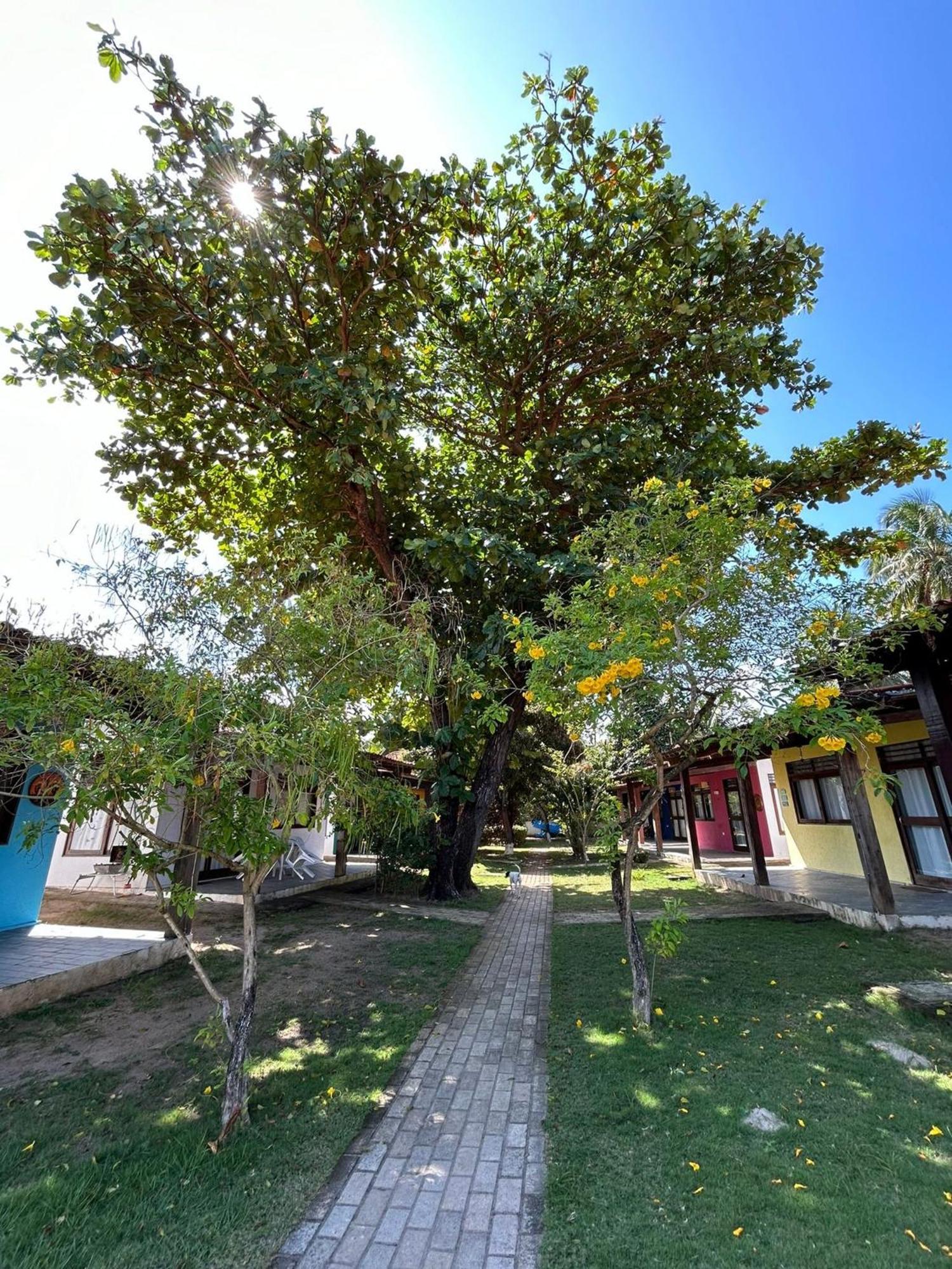 Chales Praias Brasileiras ماراغوغي المظهر الخارجي الصورة